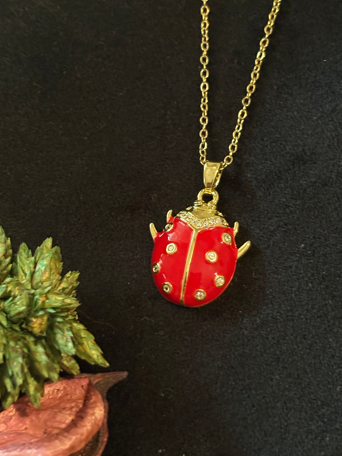 Scarlet Ladybird