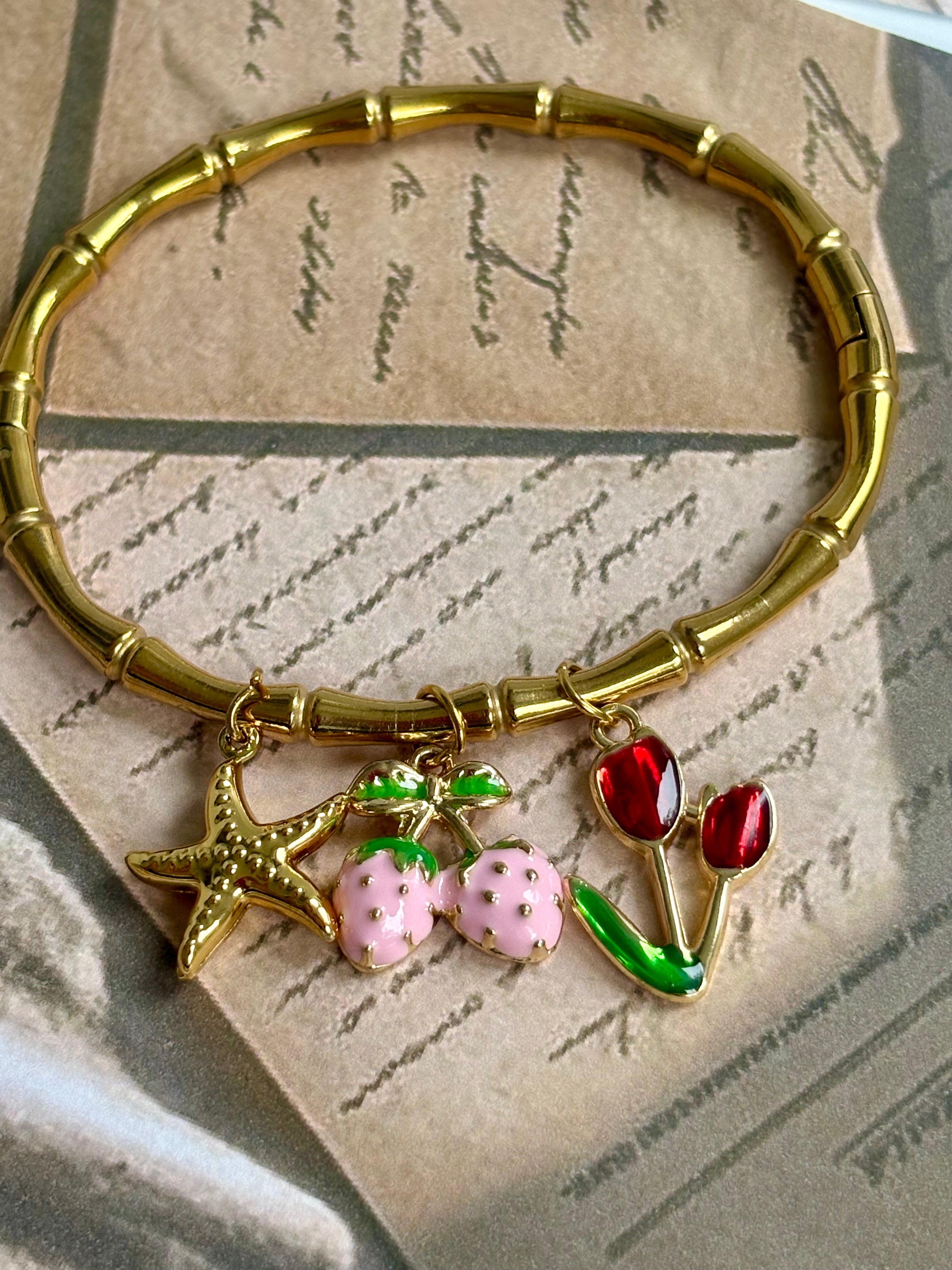 Berry Dune Charms  Kada
