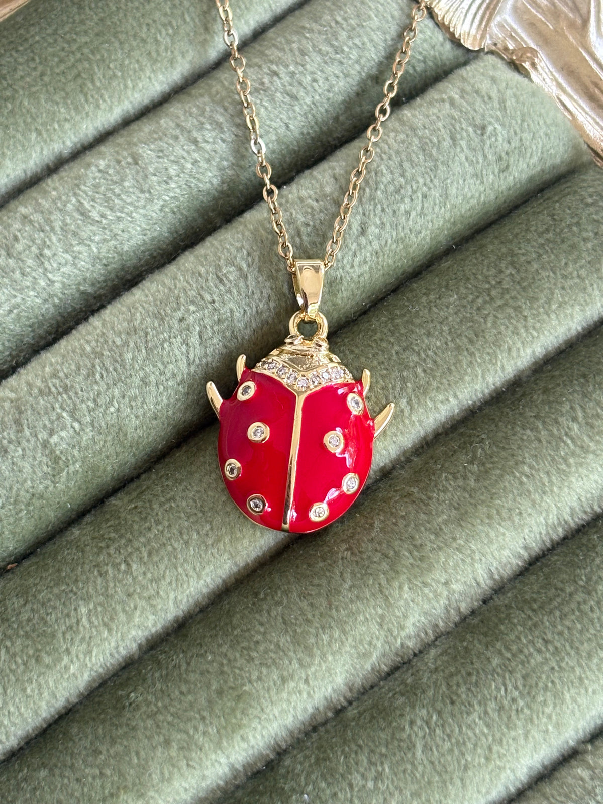 Scarlet Ladybird