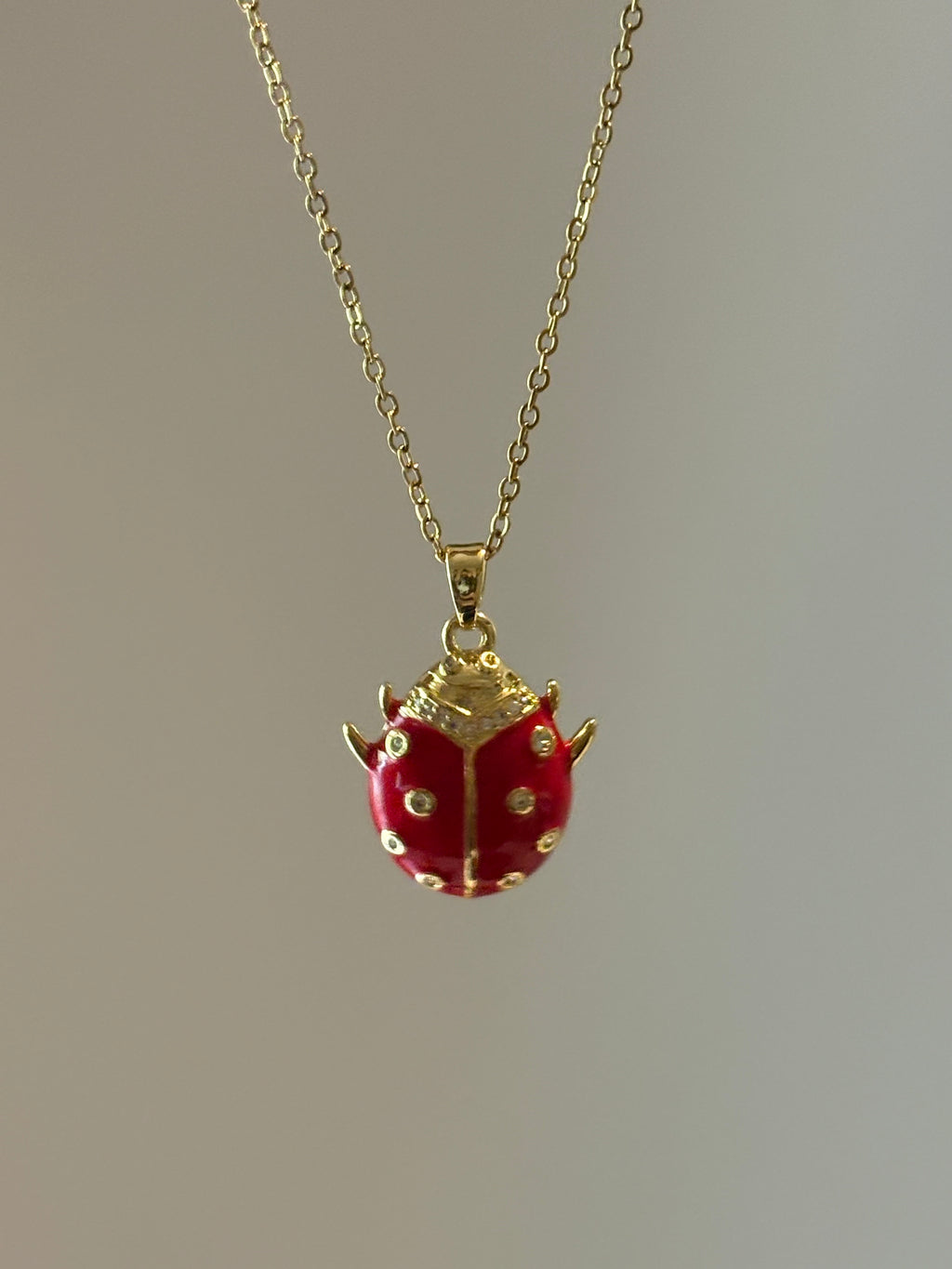 Scarlet Ladybird