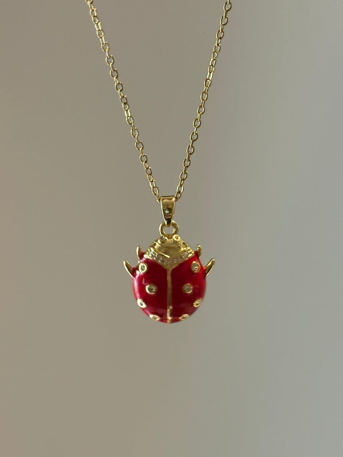 Scarlet Ladybird