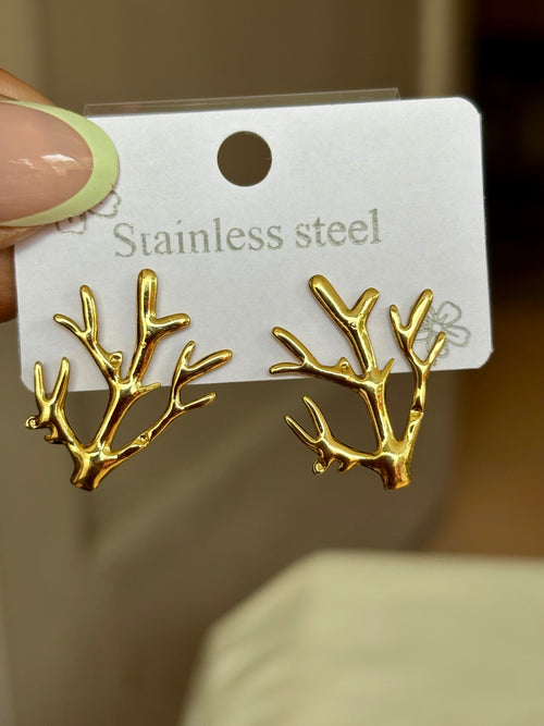 Coralie Studs